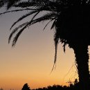 육치미 | 제주 중문 대표 흑돼지 맛집 [육치미] 또 갈집 추천 후기