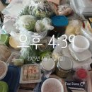 [리치오름 1기] 3주차 후기 / 절약과 저축
