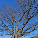 주천면 내용궁마을 이미지