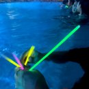 그리네스트 | 인천 영종도 네스트호텔 수영장 인피니티풀 겨울 가격 버블 시간 이용 후기