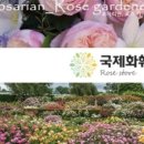 로자리안 이미지