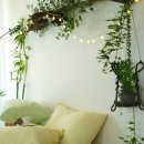 허그안 힐링캠프 이미지