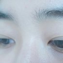 란샵RAN
