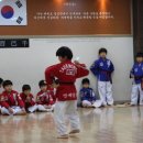 연세강산태권도 이미지