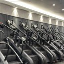 루트휘트니스 이미지