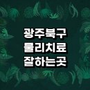 풍향동 주민센터 | 광주 북구 근처 물리치료 잘하는곳 전문병원 정형외과 추천 디스크 척추 발바닥 가격 손가락 거북목...
