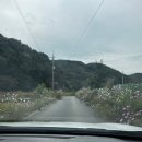 충남 1일 4산 광덕산 - 가야산 - 용봉산 - 오서산