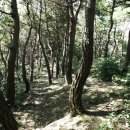 충남공주~마곡사 송림숲길=7km=2시간30분 이미지