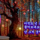 애인있어요 -cover 초아강(강정숙) (원곡 이은미,작사 최은하,작곡 윤일상) 20211101 이미지