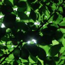 달빛마을 이미지