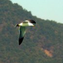 늑도마을회관 이미지