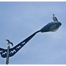 대방굴항 이미지