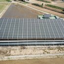 운산태양광발전소 이미지