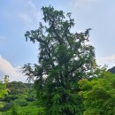 미르하우스1157 이미지