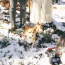 그냥,점례 이미지