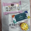 11545-05-14-19 | 2026 대전 케이펫페어 첫째날 후기(제품샷,가격)