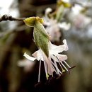 옴서감서 이미지