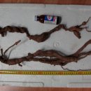 월영동017 이미지