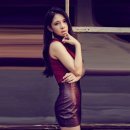 노시현 카카오 검색결과