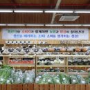푸드1번지