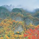 (주)혜성관광 이미지