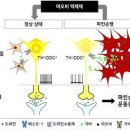 도파민 이미지