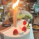 향천회초밥 | 청주 용암광장 횟집 진설미 숙성회 맛집