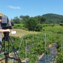 남가네 농장 이미지