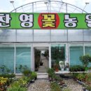 찬영꽃농원 이미지