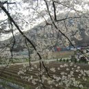 우암산순환로 이미지