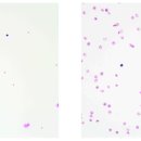 성신동물병원 이미지