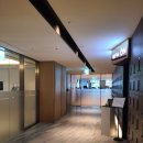 광동헬스사우나 | 대구 메리어트 호텔 호캉스 / M클럽 라운지 해피아워(메뉴,주류) / 사우나, 헬스장 피트니스 이용후기