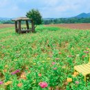 새골농장 이미지