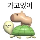 빌라페이브 이미지