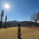 (주)아페스 이미지