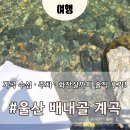 배내골 휴펜션 | 울산 배내골 계곡 솔직 후기｜휴펜션 앞 계곡, 아이와 물놀이하기 좋은 여름 피서지