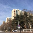 압구정강남공인중개사사무소 이미지