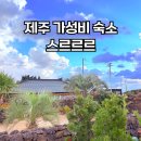 소라식당 | 제주 구좌 평대리 가성비 감성 숙소 스르르르 후기 식당 추천 소라횟집