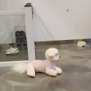 제이앤제이그루밍 이미지