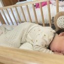 (주)라한호텔목포 이미지