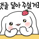 카페리조이스