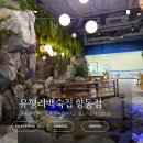 수제죽전문점벗죽 | 향동 맛집 외식 유평리백숙집 향동점 부드러운백숙과 곤드레 관자죽까지 실내계곡에서 즐긴 후기