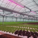 지티농장 이미지