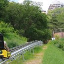 새밭식당 이미지