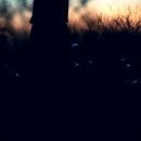 서울바르디치과의원 이미지