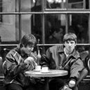 오아시스 이미지