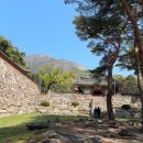 유가사길 | 봄철 꽃 구경. 대구 비슬산 1,083m