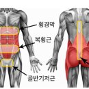 해피짐휘트니스 이미지