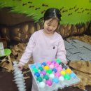 울산 렘포레 원데이클래스 감정놀이터 정규수업 28개월 후기