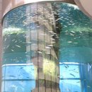 간전중앙로 이미지